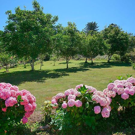 Pension Casa Elena Reinante Екстер'єр фото